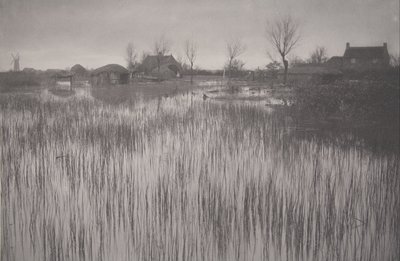 Ein schilfiges Ufer, Platte XXXV aus Leben und Landschaft auf den Norfolk Broads von Peter Henry Emerson